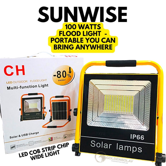 Flood Light Portable 100W